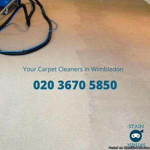 Carpet cleaning in Wimbledon