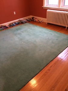 Green professionally bound carpet
