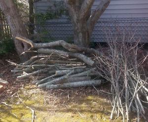 Hardwood to burn