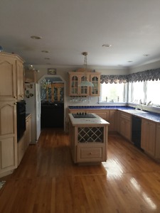Kitchen Cabinets and Appliances