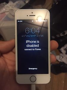 Parts only iPhone 5s 32GB $80