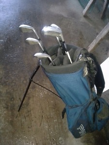 Ping stand bag