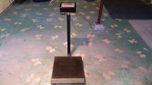 Weigh Scale for upto 250kg/551lbs. Works perfect. Pick-up SW