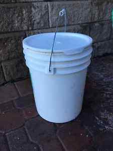5 gallon pail with lid
