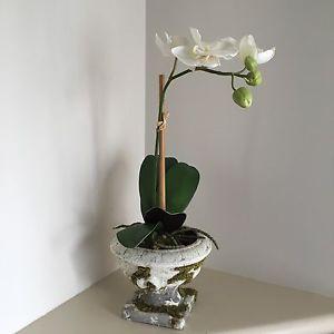 Artificial Orchid Plant