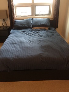 Bed Frame and Mattress