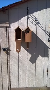 Bird Nesting Boxes