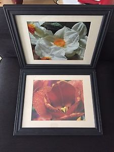 Black Framed Flower Photographs