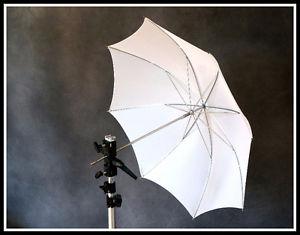 Lowel Umbrella