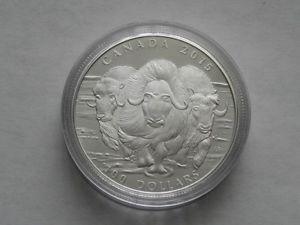  Muskox Silver Coin