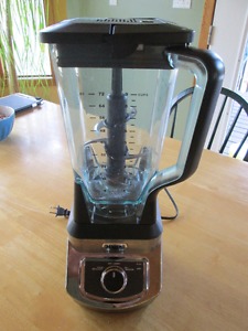 Ninja 9-cup blender