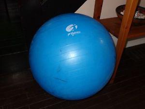 Pilates Exercise Ball