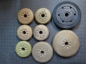 Plastic Weights totalling 37.5 lbs total - $30