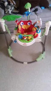 Rainforest Jumper