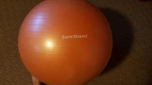 Sanctband Gym ball