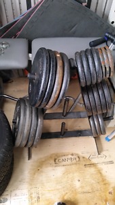 Weights, Rack, Bars and Bench