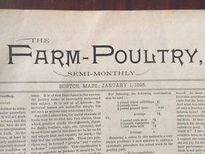 antique poultry book