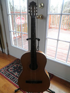 's Lark Acoustic Guitar.