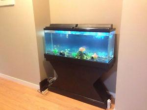 90 gallon fish tank everyting included
