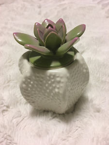 Anthropologie Succulent Candle