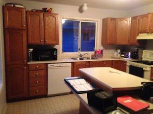 Appliances and kitchen cabinets
