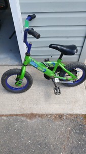 Boys 12" Bike