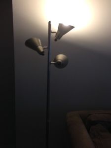 Brushed Stainless Floor lamp