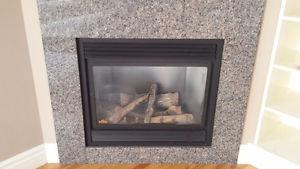 Fireplace insert