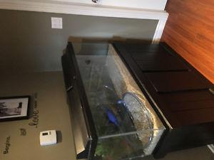 Fish Tank (55 gallon)