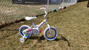 Girl Toddler Bicycle
