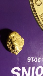 Gold nugget 12.5 g  dollars 