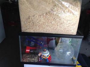 Hamster house and all the things to make it happy