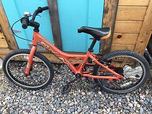 Kids Giant bike