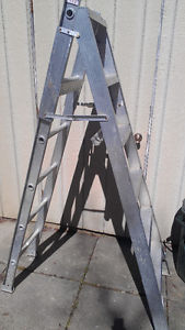 Ladder - combination stepladder and extension