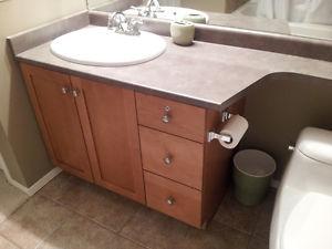 Maple Shaker Bathroom Cabinet