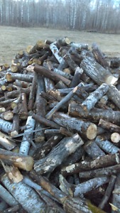 Poplar firewood