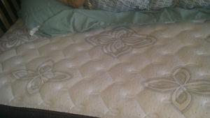 Queen bed 1 year old