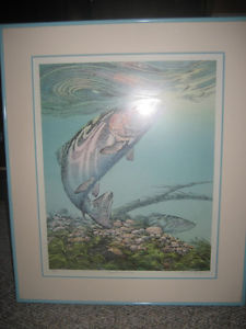 "Rainbow Rising" Done for Trout Unlimited Canada