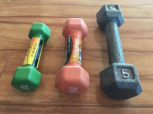 Set of lower weight dumbells - 2, 3 and 5 lbs; like new
