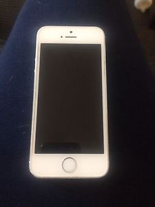 Silver iPhone 5S