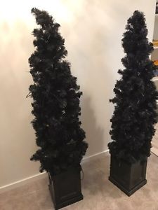 Two black Christmas trees