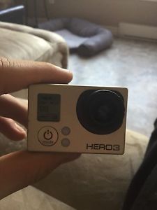 Wanted: Gopro hero 3plus and a screen