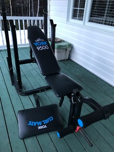 Weight Bench and Free Weights