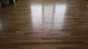  sq ft of maple hard wood