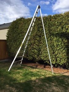 14 foot Falcon orchard ladder.