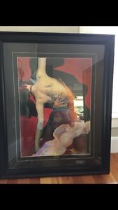 2 large framed photos