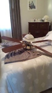 Ceiling fan and light