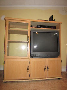 Entertainment Unit