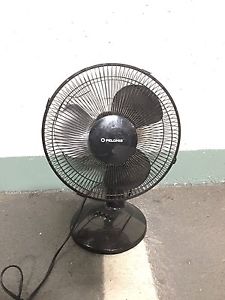 Fan