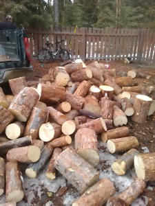 Firewood!